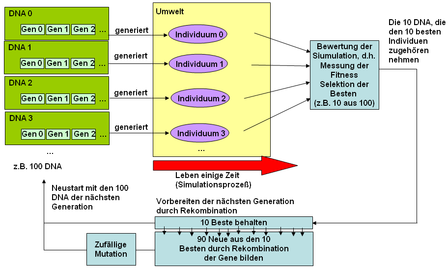 Schema für die Optimierung mittels eines genetischen Algorithmus.