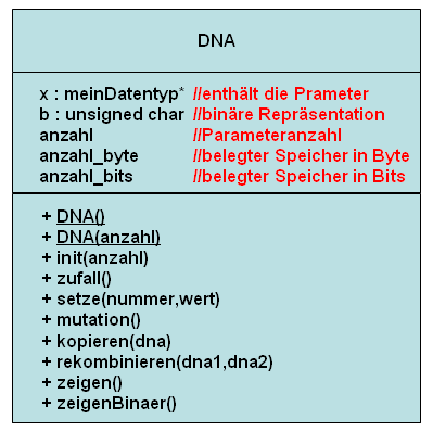 UML-Klassendiagramm zur Klasse DNA in der Datei DNA.h.